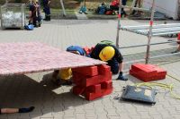 IMG_9830 (Large)